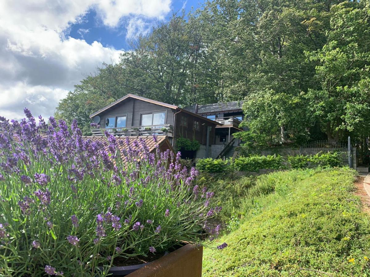 Chalet de la Sablière Amougies Extérieur photo